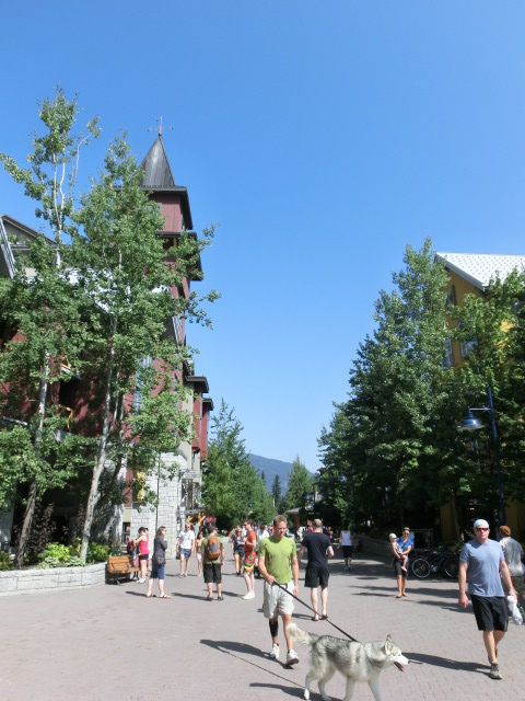 d0115731_10374579.jpg