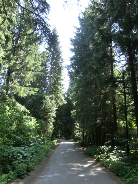d0115731_1041446.jpg