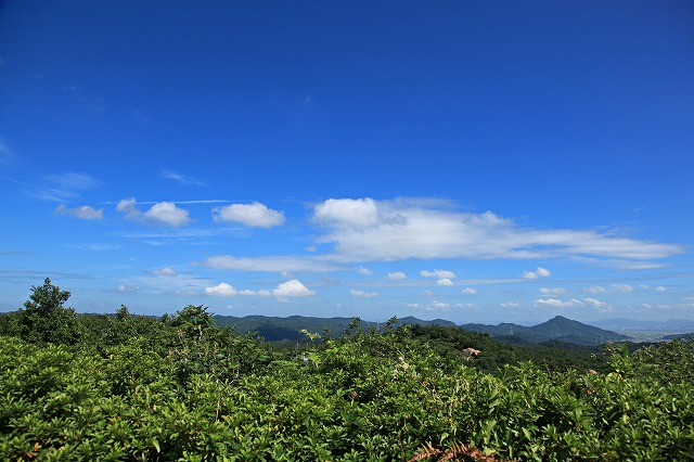 a0242438_21202539.jpg