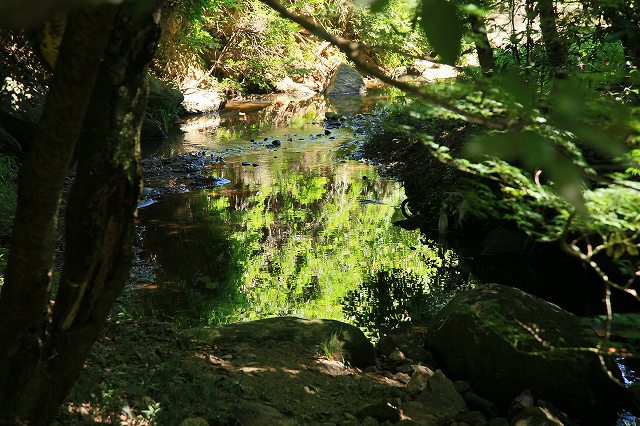 a0242438_21222324.jpg