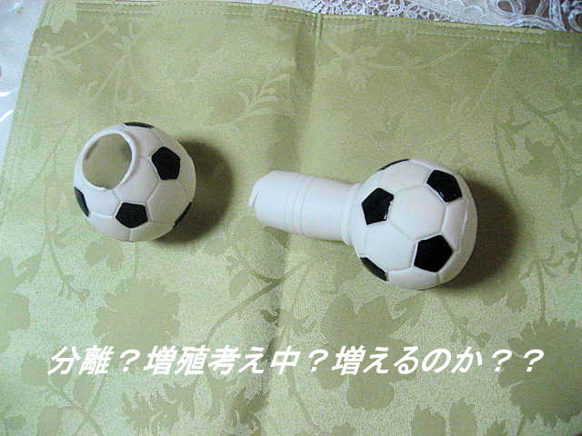 a0149240_9361627.jpg