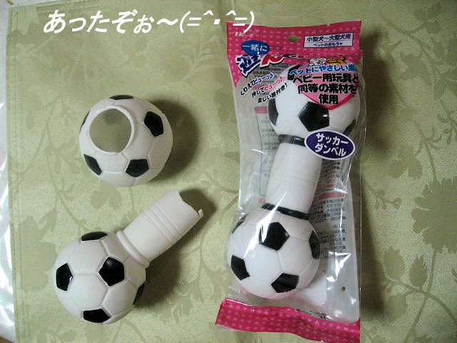a0149240_9394096.jpg
