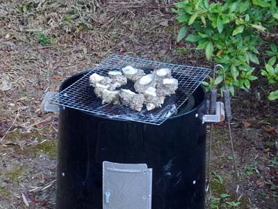 b0019140_15046.jpg