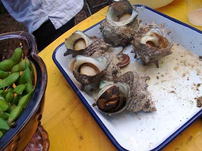 b0019140_1521547.jpg
