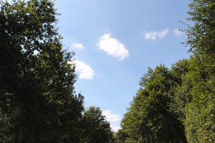 c0153740_06315.jpg