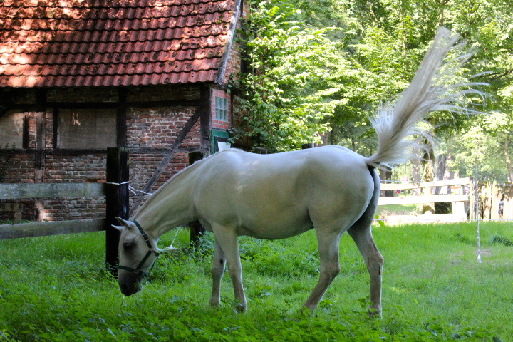 c0153740_07255.jpg
