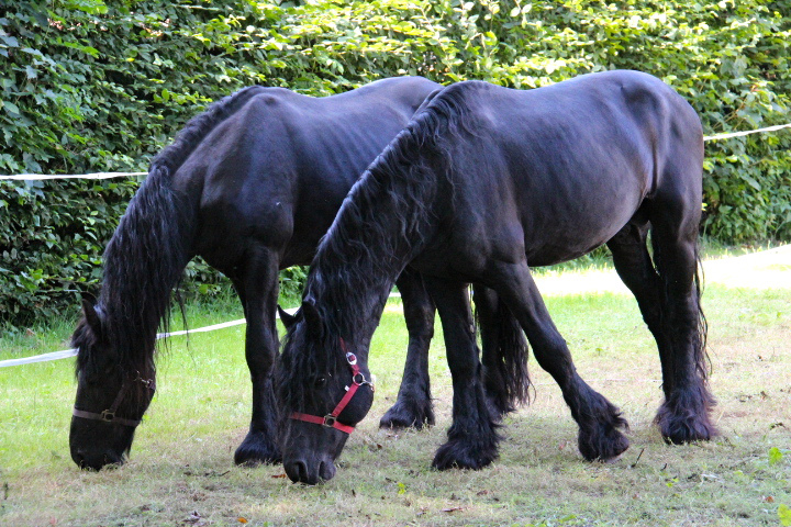 c0153740_08322.jpg