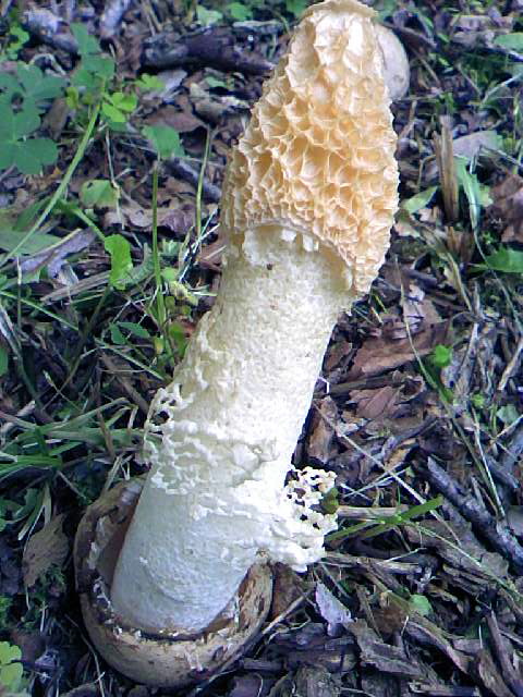 b0219843_135268.jpg