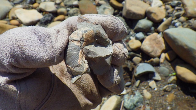 e0290546_4224011.jpg