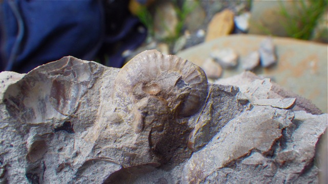 e0290546_4231095.jpg