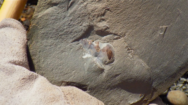 e0290546_4234884.jpg