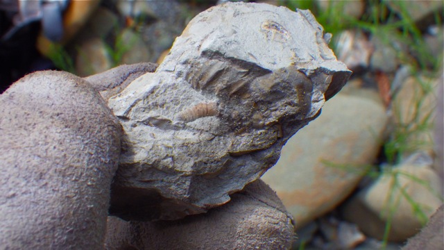 e0290546_424256.jpg