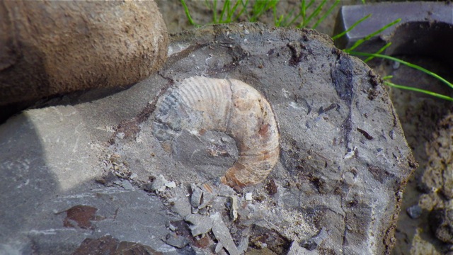 e0290546_4242834.jpg