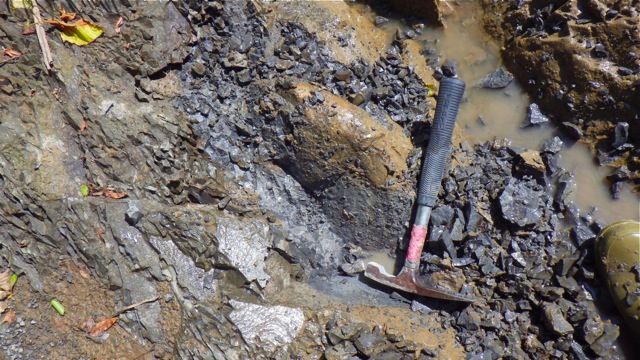 e0290546_4262461.jpg