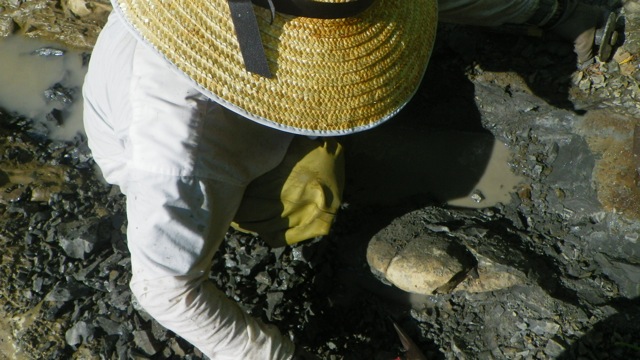 e0290546_426572.jpg