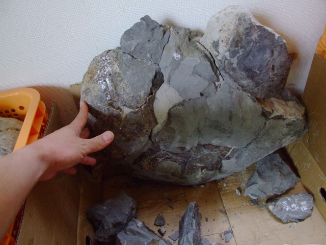 e0290546_427529.jpg
