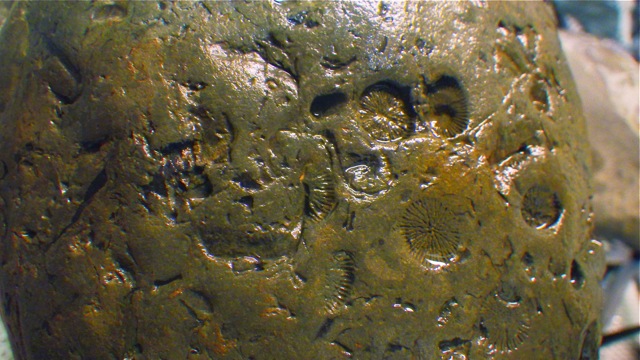 e0290546_4283177.jpg