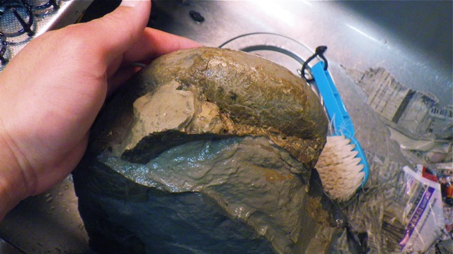 e0290546_4284392.jpg