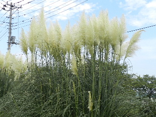 e0172950_2118179.jpg