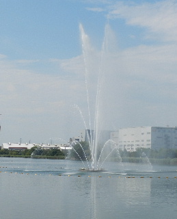 e0172950_21185922.jpg