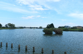 e0172950_21195753.jpg