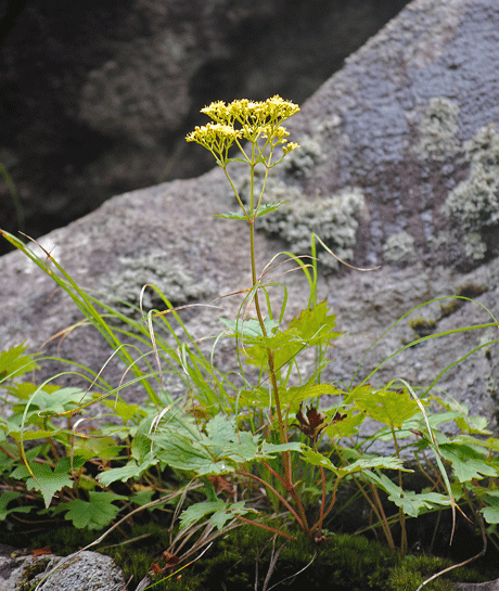 a0001354_22431744.gif