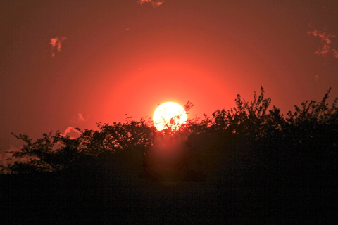 a0248459_3305120.jpg