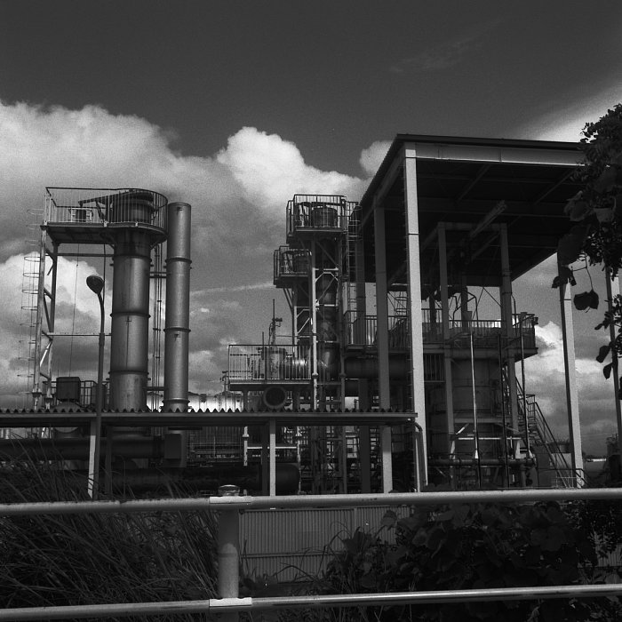 b0175964_21152139.jpg