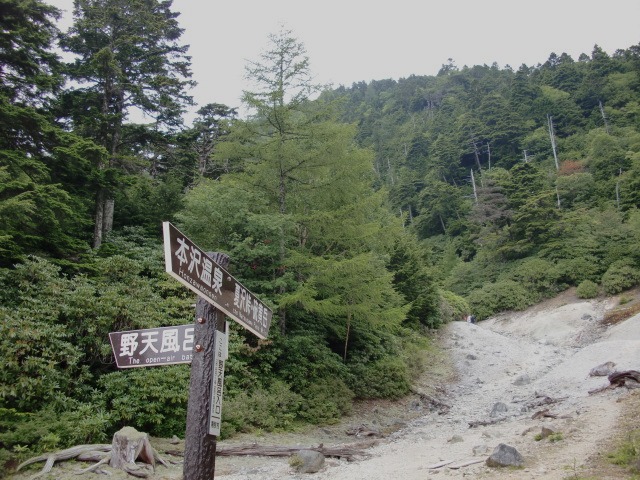 d0010065_2014818.jpg