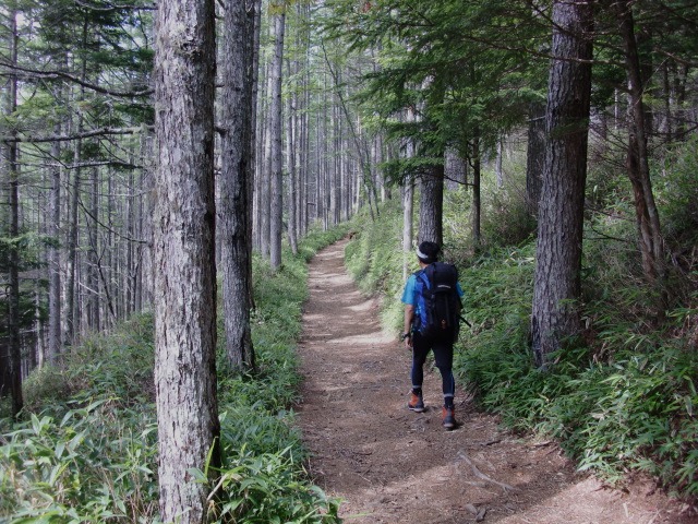 d0010065_2091774.jpg