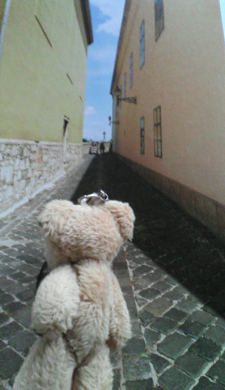 c0238973_1510044.jpg