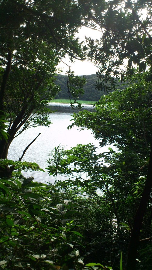 f0066076_21105421.jpg