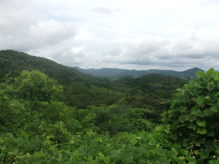 c0228378_10154989.jpg