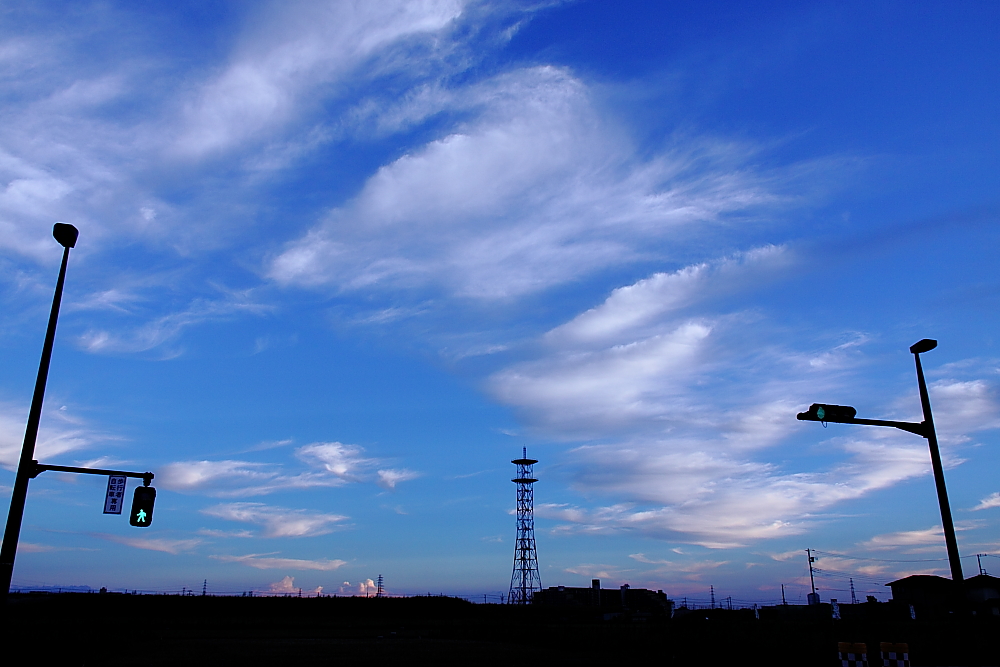 e0249878_120560.jpg