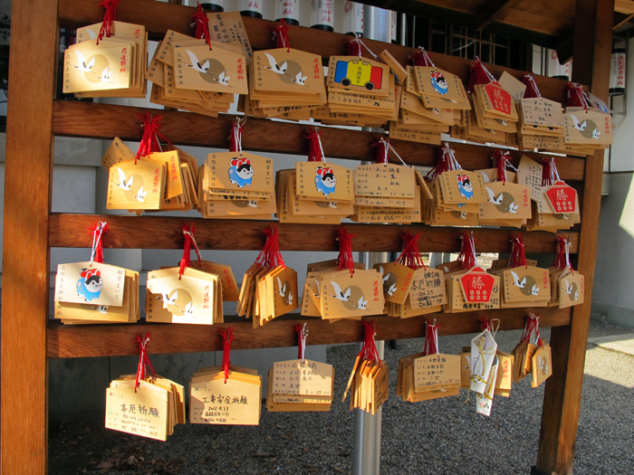 b0244280_1534529.jpg