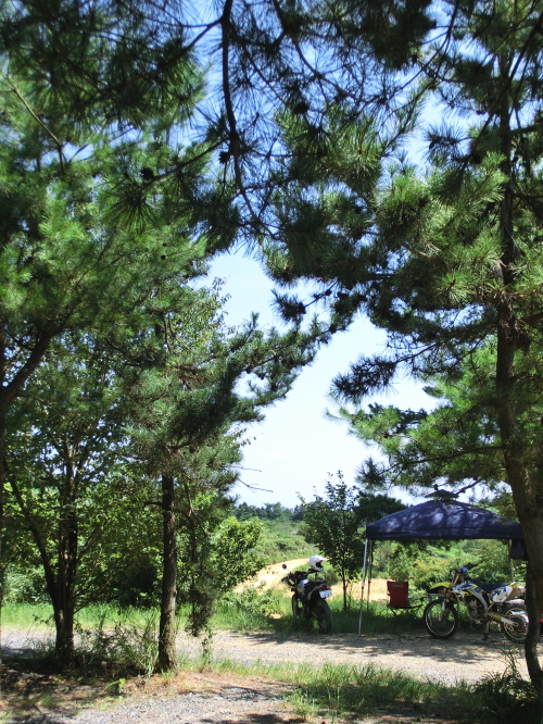 d0179983_17434440.jpg