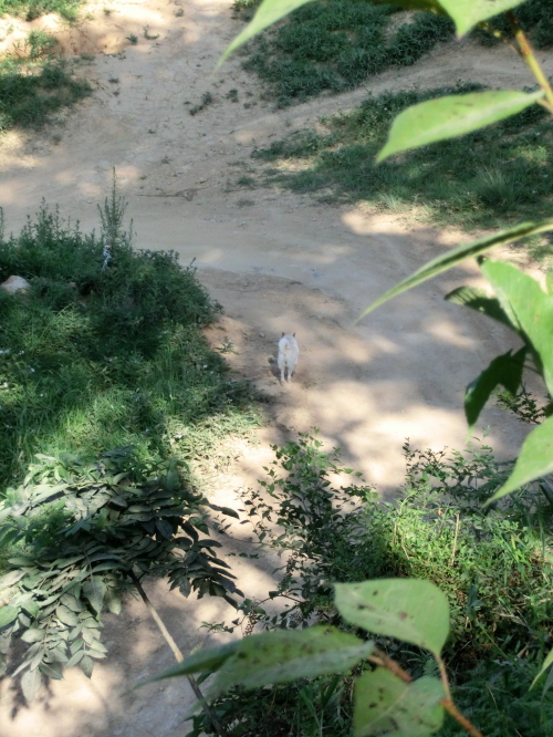 d0179983_17442385.jpg