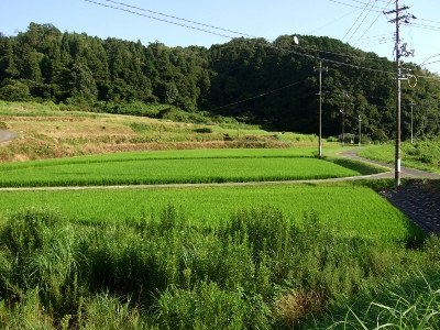 e0062884_1402459.jpg