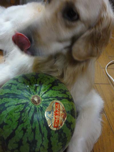 c0085188_21414751.jpg