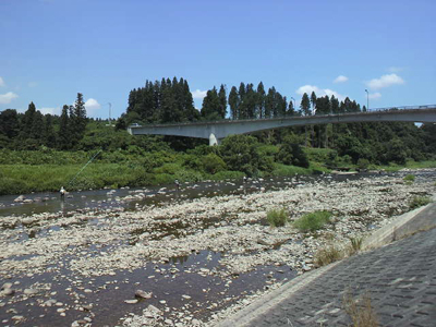 c0003493_9173131.jpg
