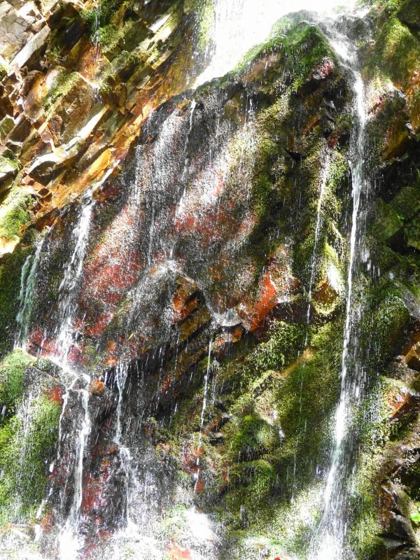 e0202393_16453768.jpg