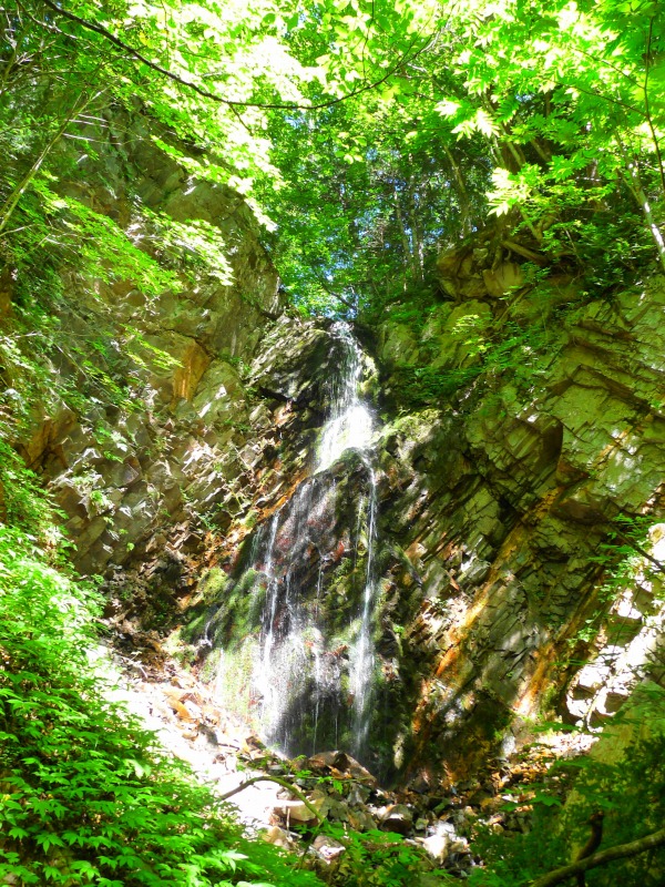 e0202393_1645566.jpg