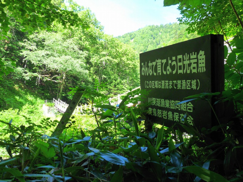 e0202393_16461142.jpg