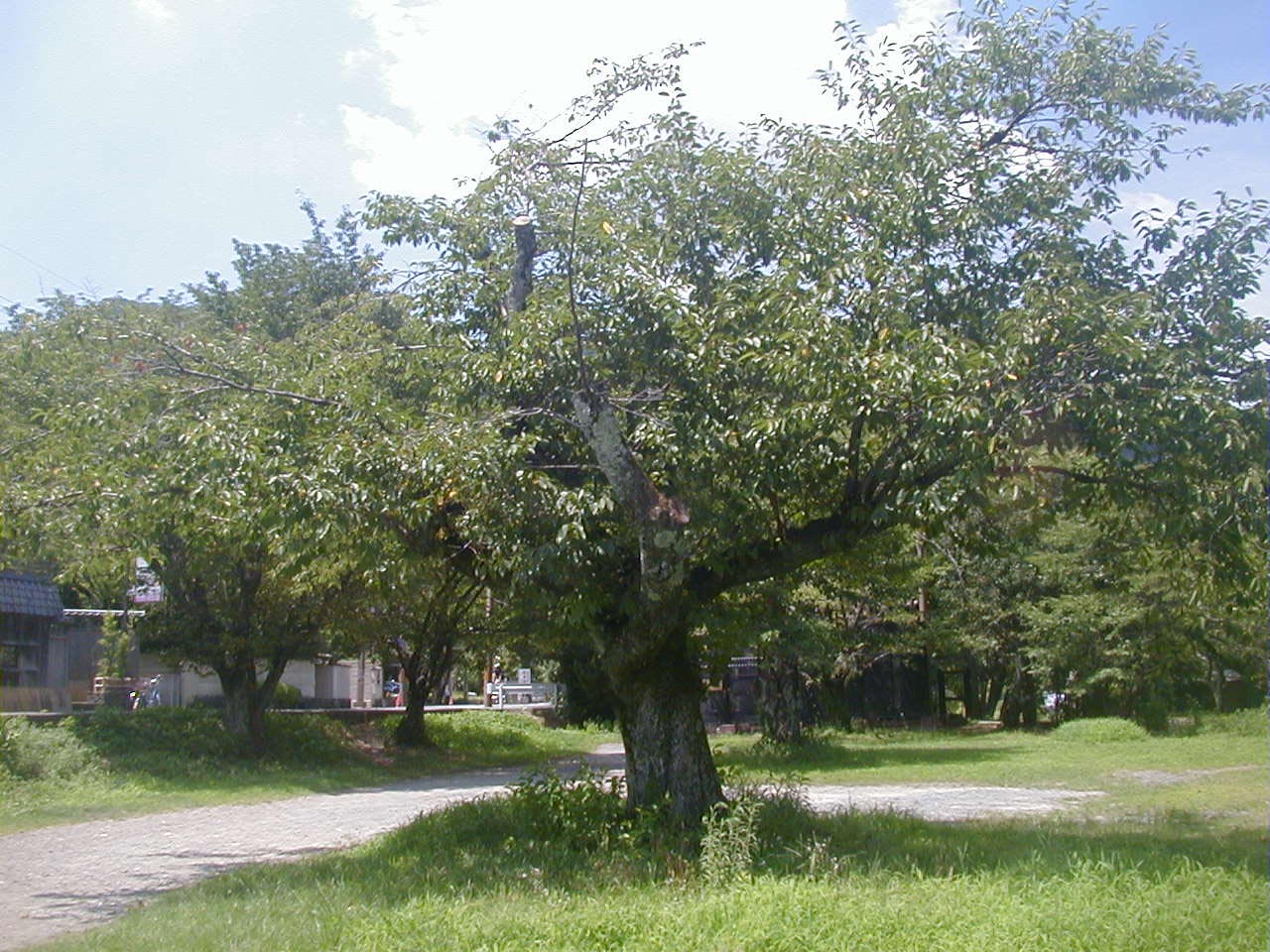 d0053294_0264525.jpg