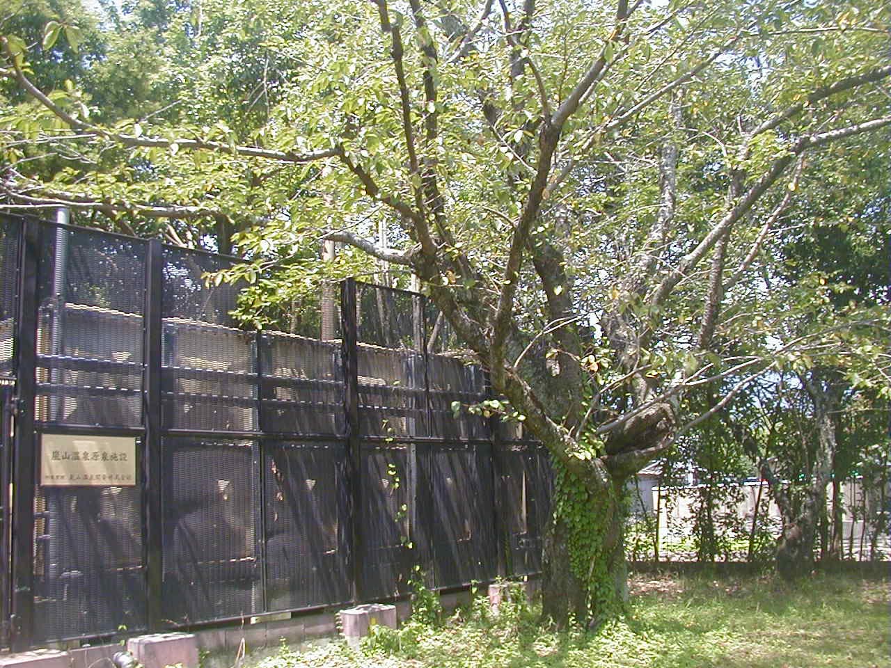 d0053294_027944.jpg