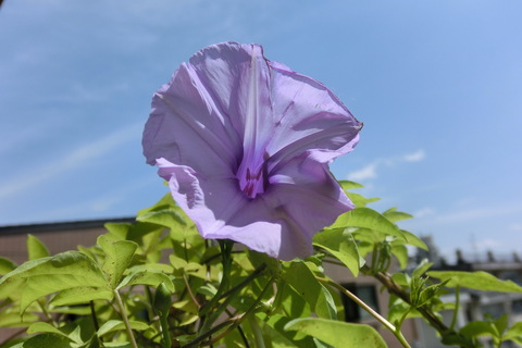 f0153998_13315011.jpg