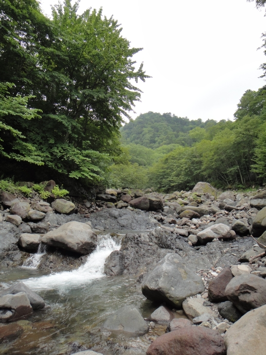 b0172805_1174081.jpg