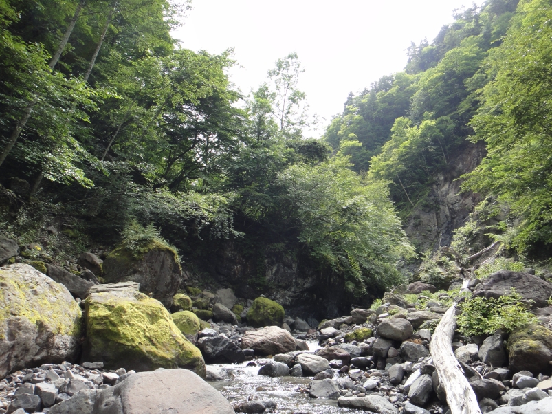 b0172805_1223465.jpg