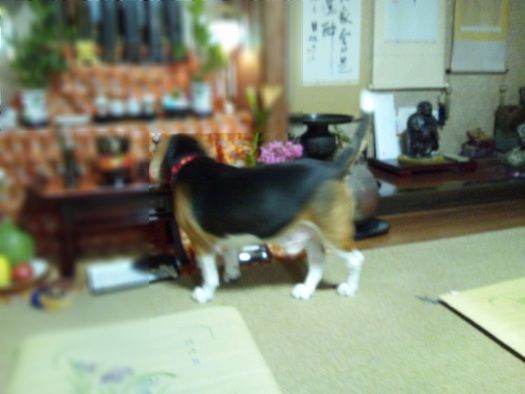c0205806_1931362.jpg