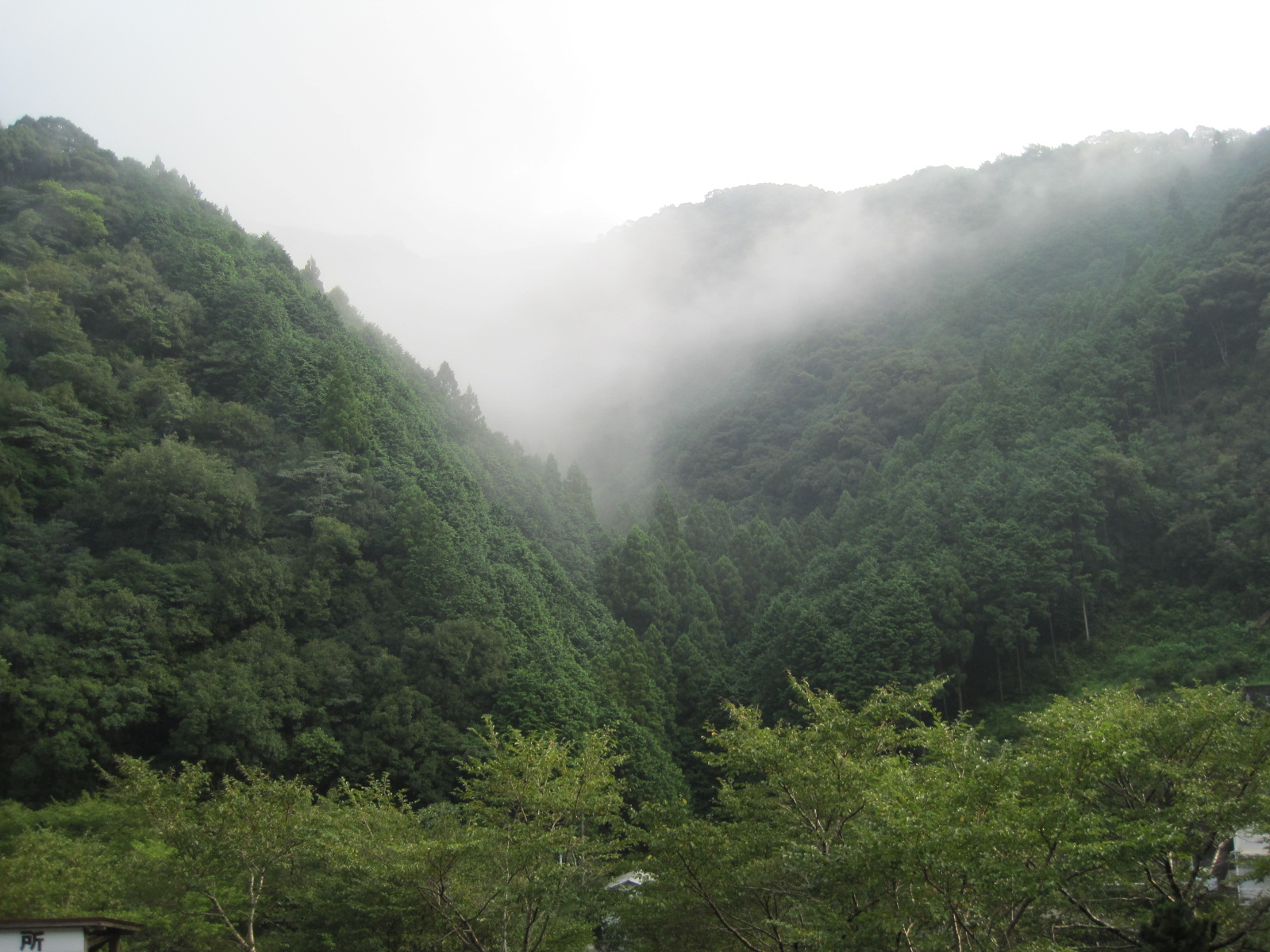 c0195309_12552756.jpg